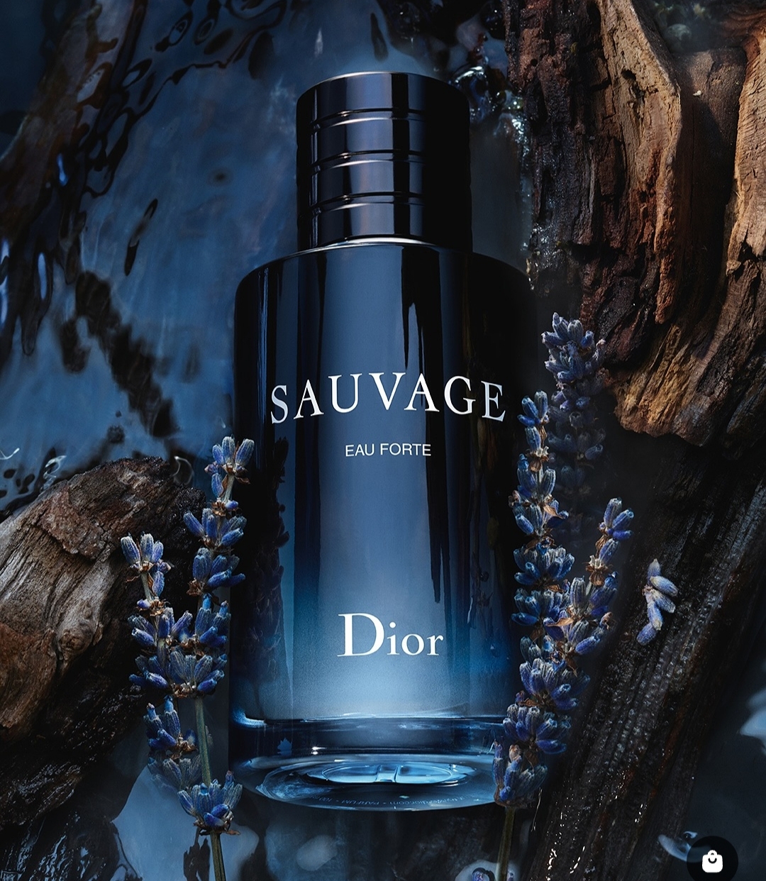 SAUVAGE
